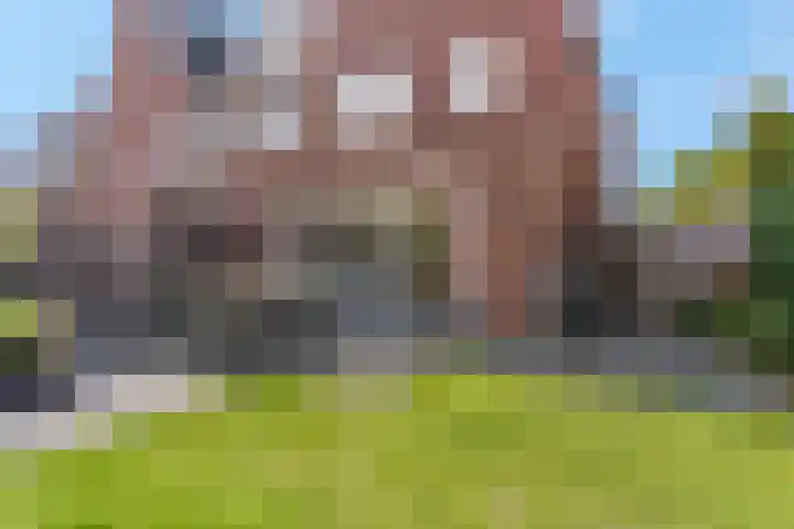 Bosbes 2 Nijkerk thumbnail 29
