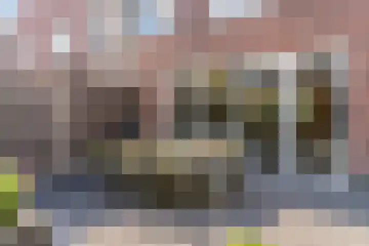 Bosbes 2 Nijkerk thumbnail 30