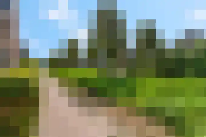 Bosbes 2 Nijkerk thumbnail 31