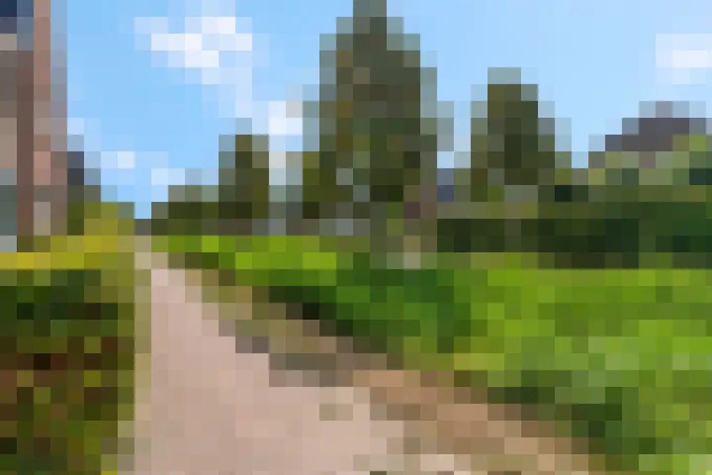 Bosbes 2 Nijkerk thumbnail 31