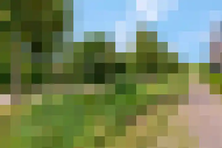 Bosbes 2 Nijkerk thumbnail 32