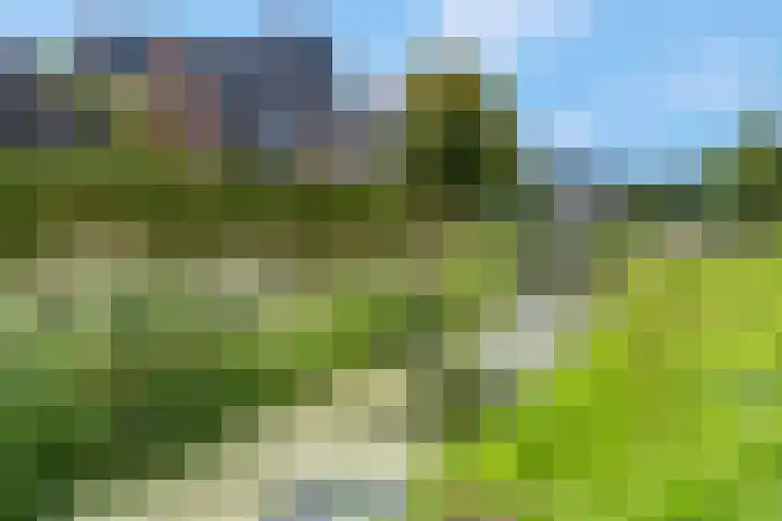 Bosbes 2 Nijkerk thumbnail 33