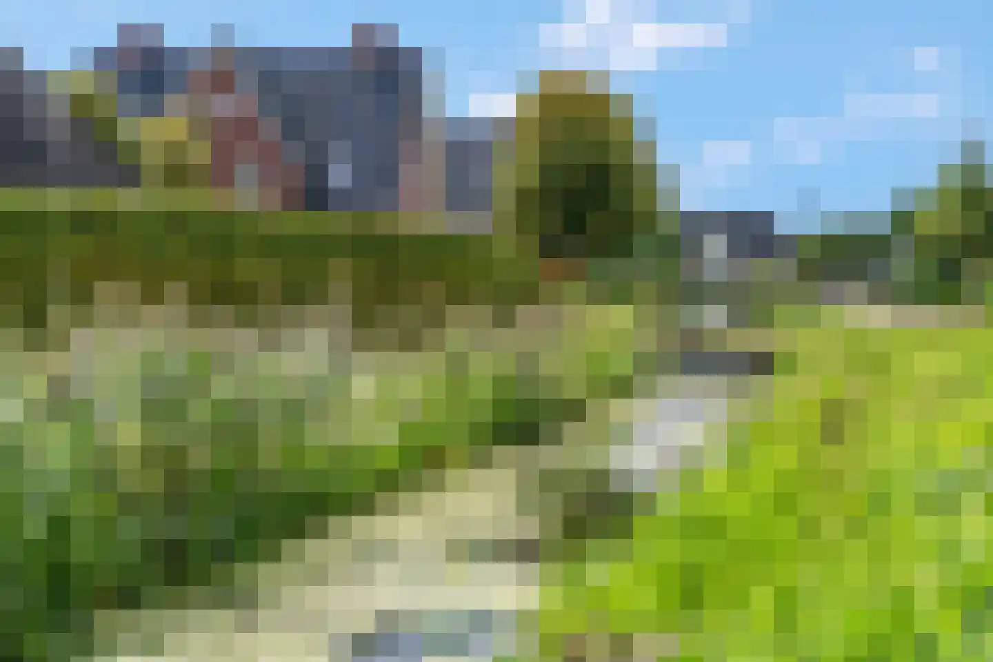 Bosbes 2 Nijkerk thumbnail 33