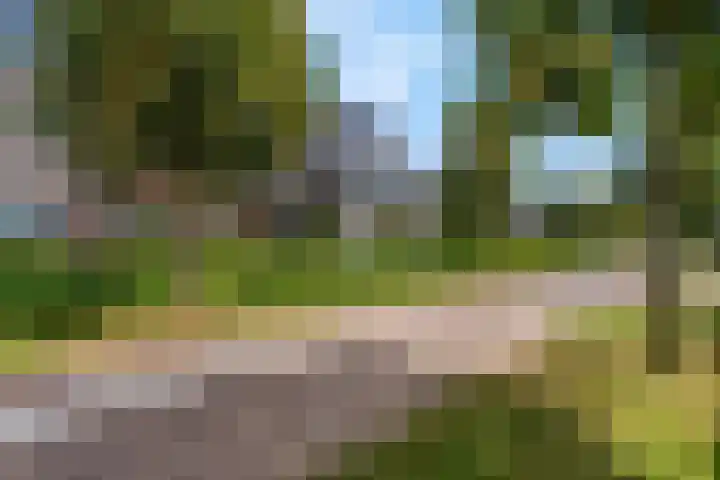 Bosbes 2 Nijkerk thumbnail 34