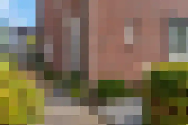 Bosbes 2 Nijkerk thumbnail 35