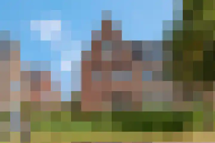 Bosbes 2 Nijkerk thumbnail 36