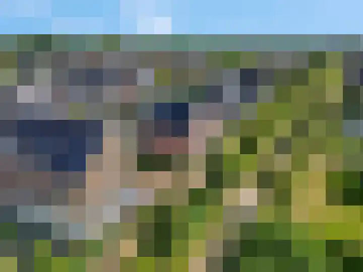 Bosbes 2 Nijkerk thumbnail 39