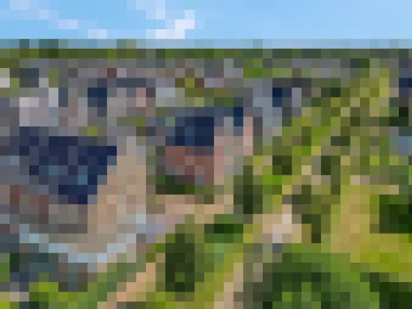 Bosbes 2 Nijkerk thumbnail 39