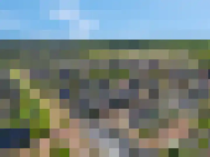 Bosbes 2 Nijkerk thumbnail 40