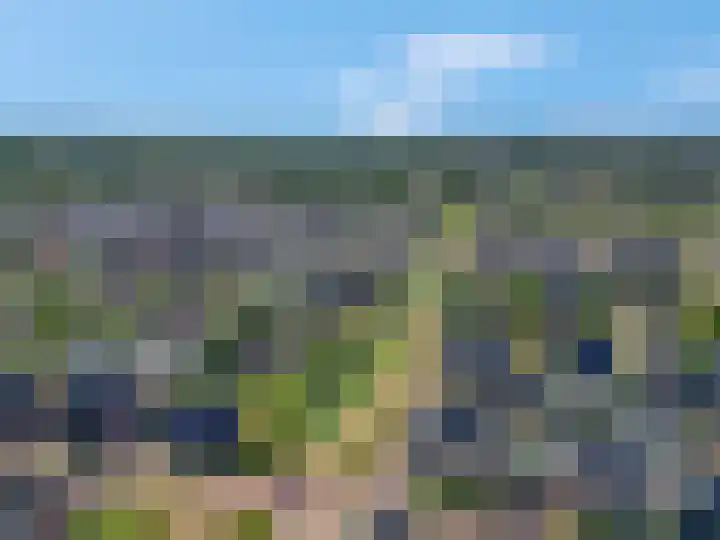 Bosbes 2 Nijkerk thumbnail 41