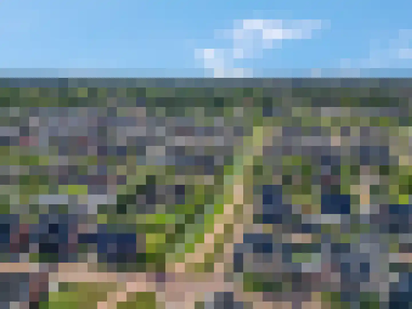 Bosbes 2 Nijkerk thumbnail 41