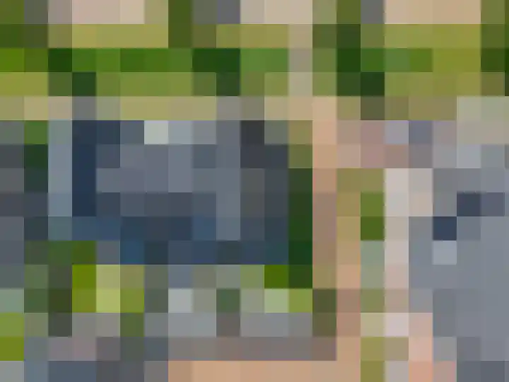Bosbes 2 Nijkerk thumbnail 42