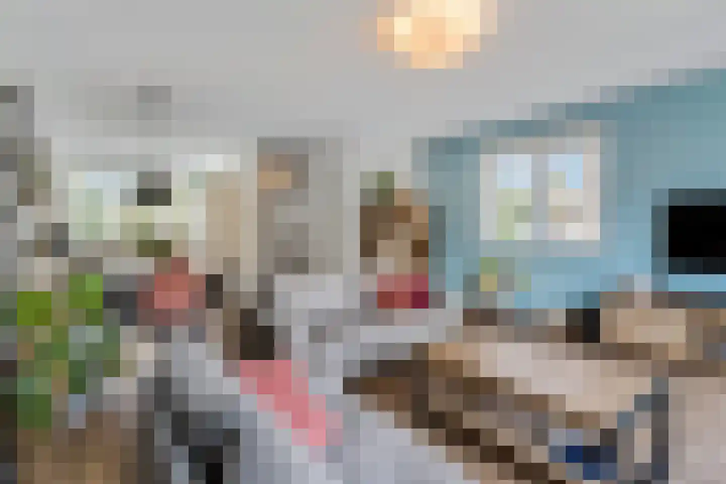 Bosbes 2 Nijkerk thumbnail 5