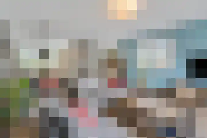 Bosbes 2 Nijkerk thumbnail 5