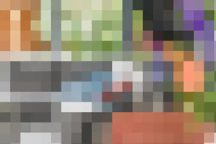 Bosbes 2 Nijkerk thumbnail 6