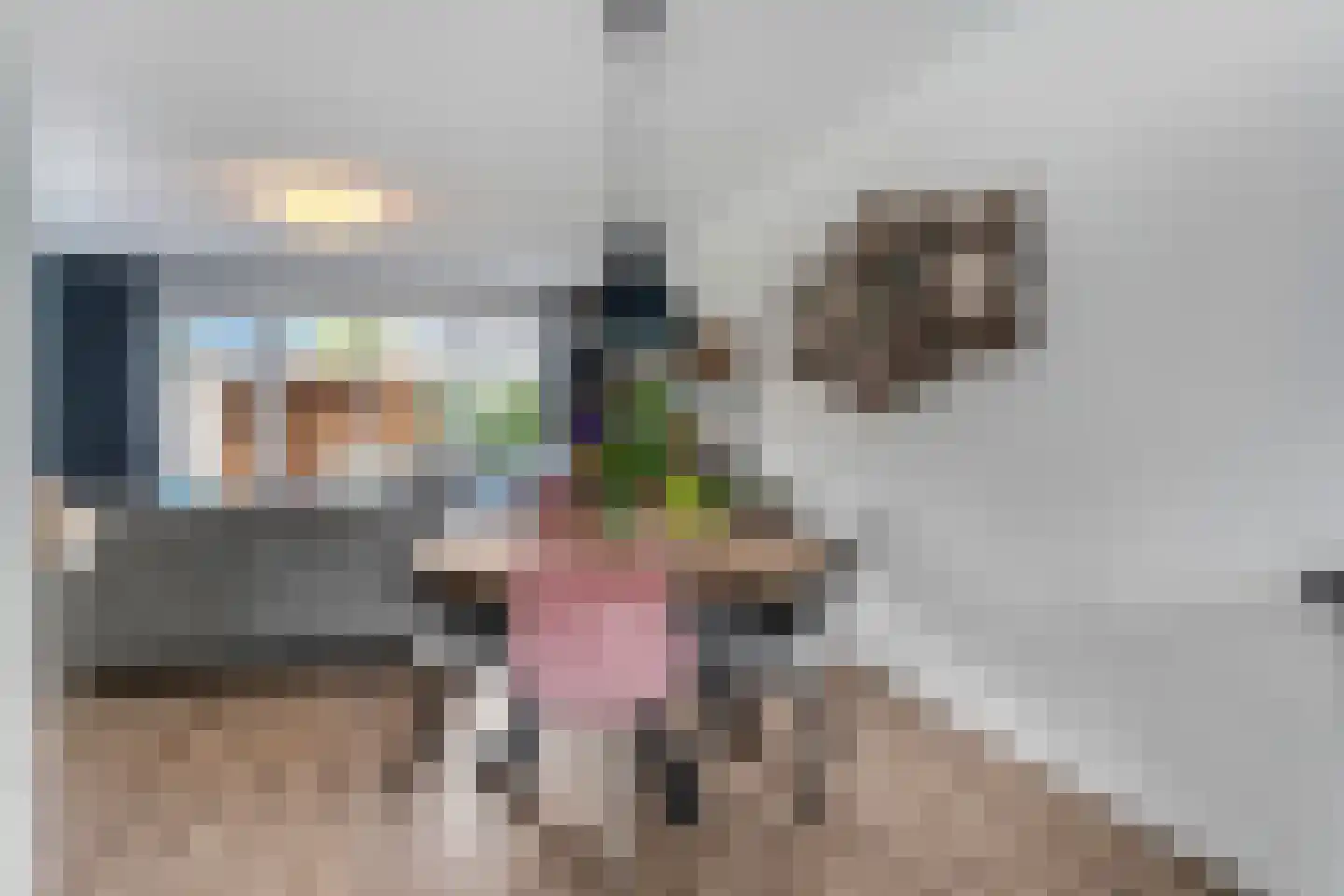 Bosbes 2 Nijkerk thumbnail 7