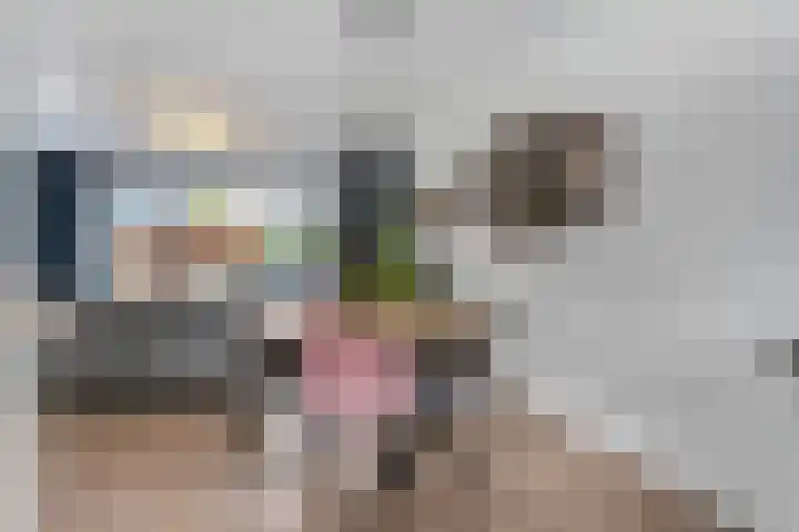 Bosbes 2 Nijkerk thumbnail 7