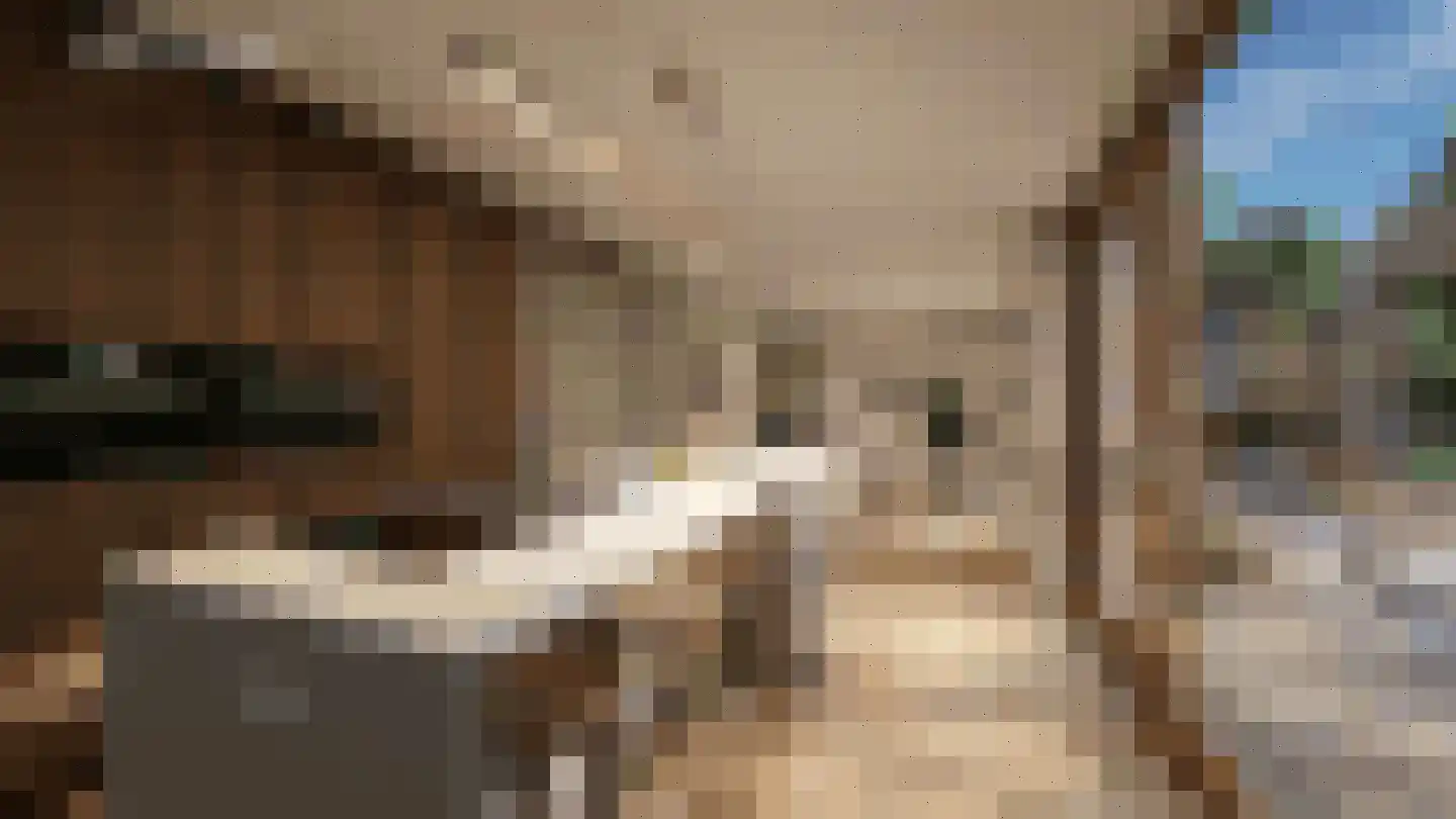 Bosbes 2 Someren thumbnail 4