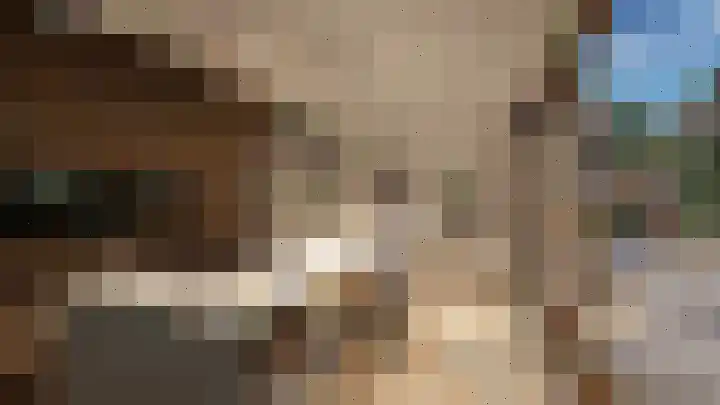 Bosbes 2 Someren thumbnail 4