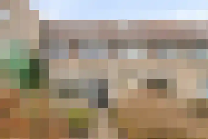 Bosbes 22 Zeewolde