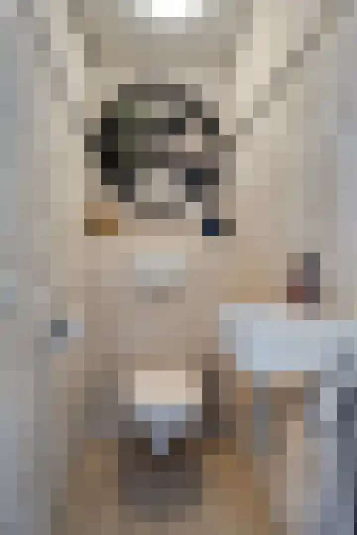 Bosbes 26 Zeewolde thumbnail 11