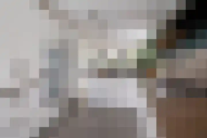 Bosbes 26 Zeewolde thumbnail 21