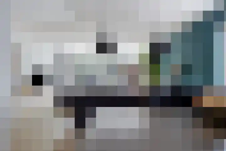 Bosbes 26 Zeewolde thumbnail 22