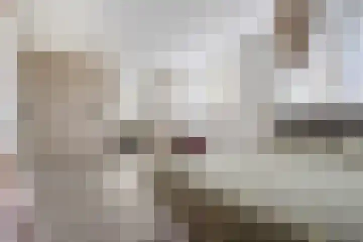 Bosbes 26 Zeewolde thumbnail 26