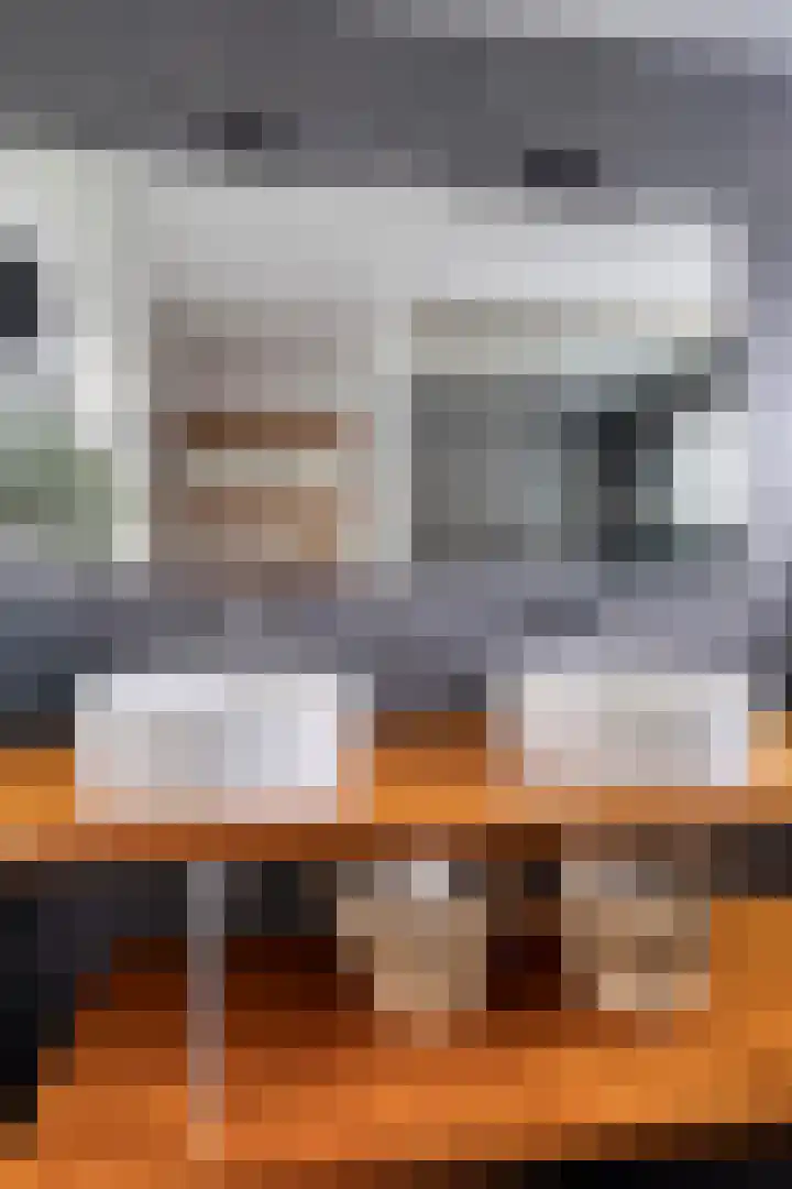 Bosbes 26 Zeewolde thumbnail 28