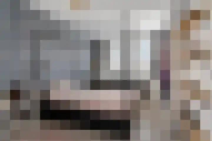 Bosbes 26 Zeewolde thumbnail 30