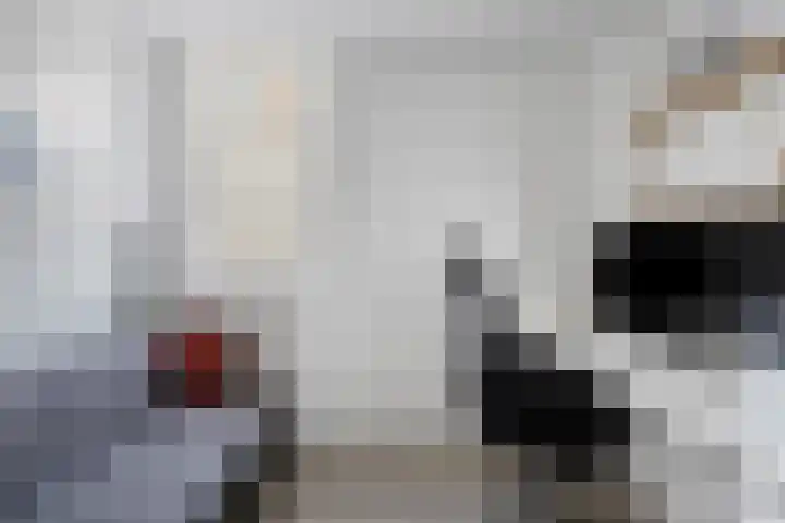 Bosbes 26 Zeewolde thumbnail 32