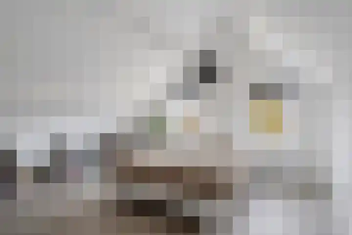 Bosbes 26 Zeewolde thumbnail 35