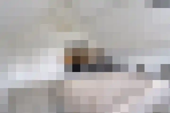 Bosbes 26 Zeewolde thumbnail 36