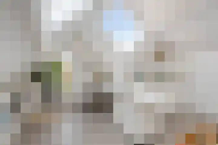 Bosbes 26 Zeewolde thumbnail 37