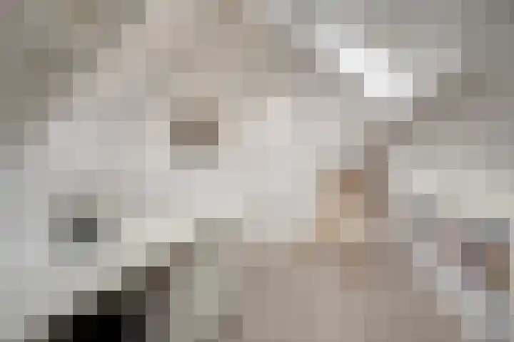 Bosbes 26 Zeewolde thumbnail 38