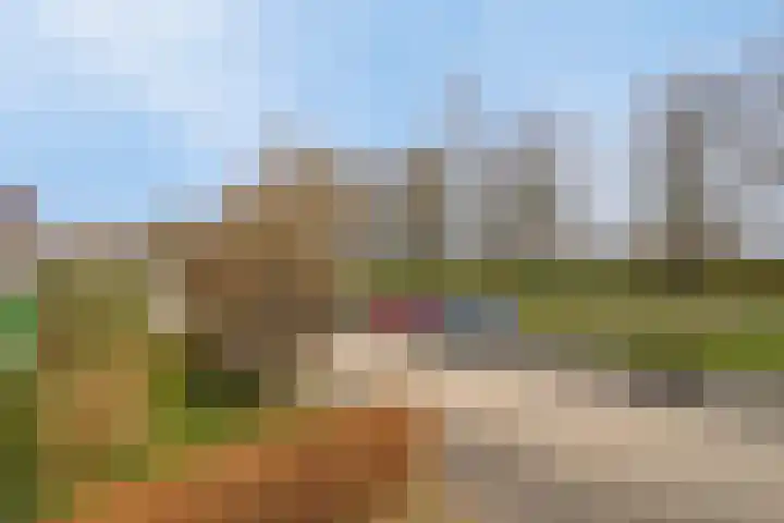 Bosbes 26 Zeewolde thumbnail 39