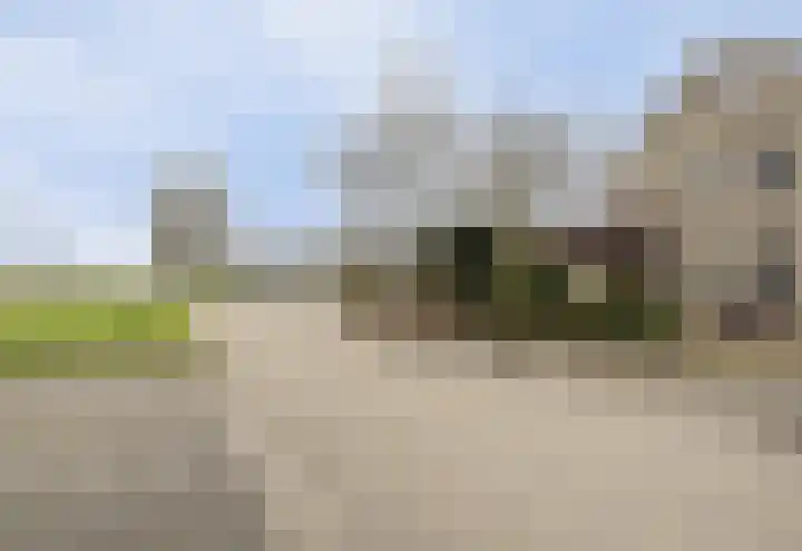 Bosbes 26 Zeewolde thumbnail 4