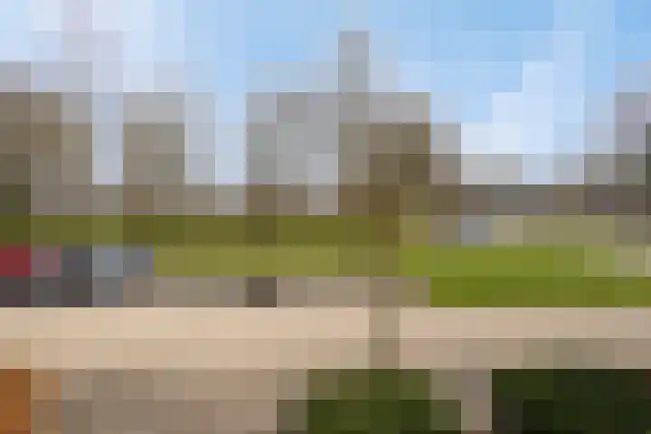 Bosbes 26 Zeewolde thumbnail 40