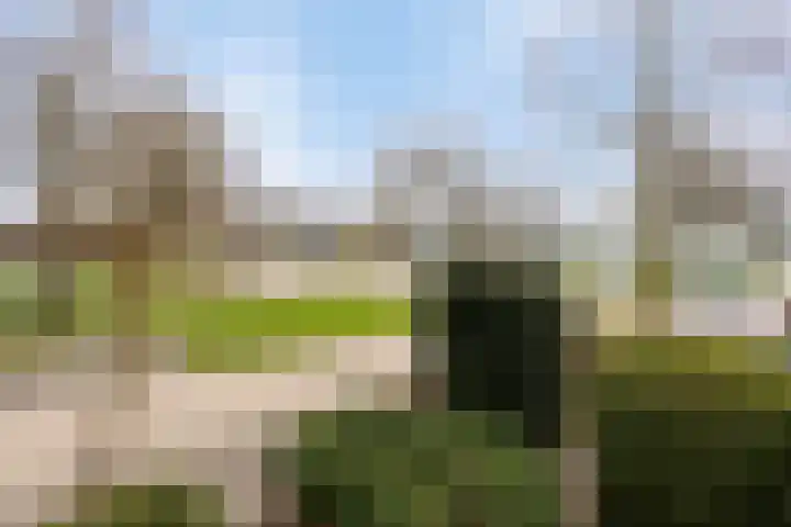 Bosbes 26 Zeewolde thumbnail 41