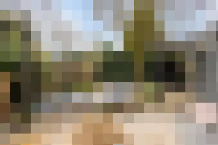 Bosbes 26 Zeewolde thumbnail 42