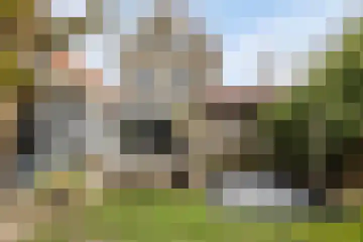 Bosbes 26 Zeewolde thumbnail 43