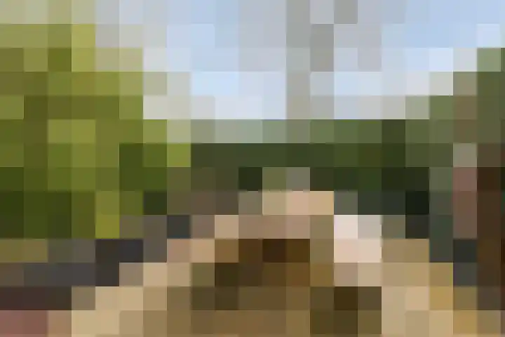 Bosbes 26 Zeewolde thumbnail 45