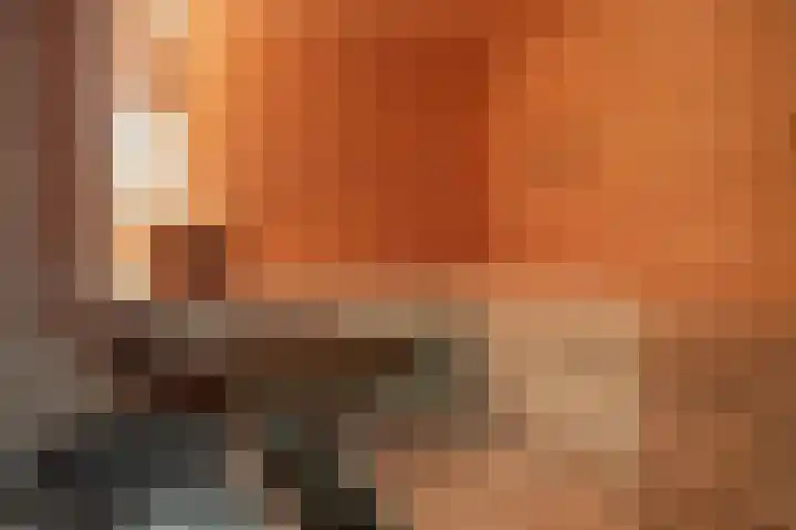 Bosbes 26 Zeewolde thumbnail 49