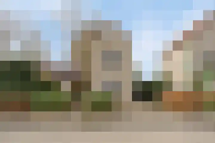 Bosbes 26 Zeewolde thumbnail 5