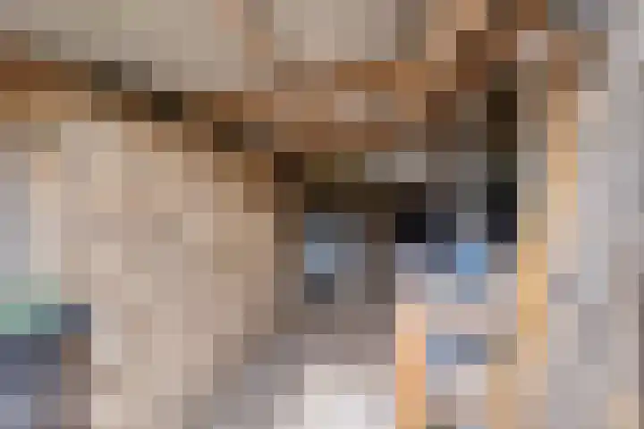 Bosbes 26 Zeewolde thumbnail 50