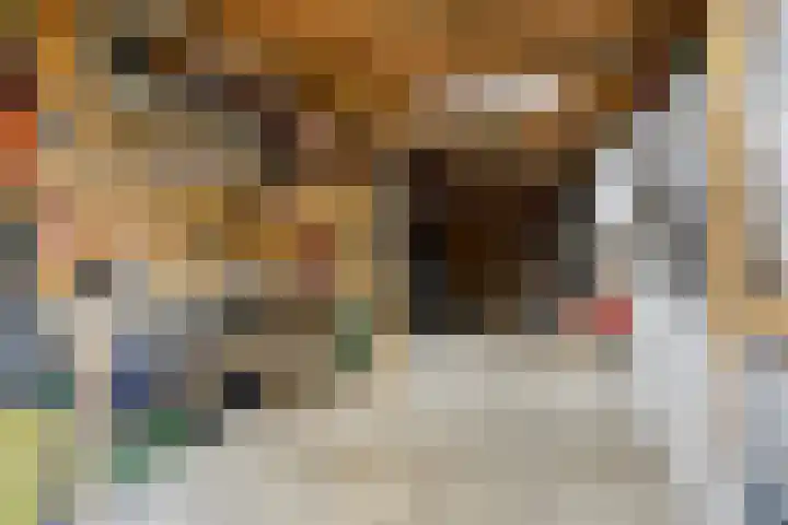 Bosbes 26 Zeewolde thumbnail 51
