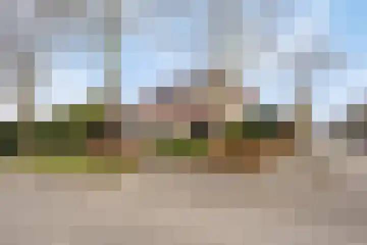 Bosbes 26 Zeewolde thumbnail 53