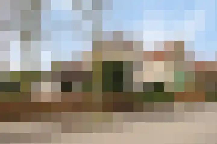 Bosbes 26 Zeewolde thumbnail 6