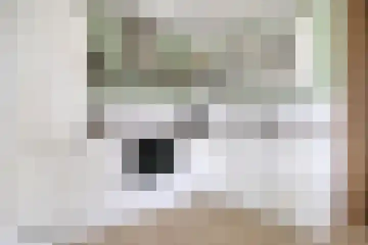 Bosbes 26 Zeewolde thumbnail 61