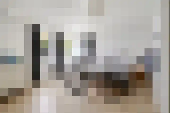 Bosbes 26 Zeewolde thumbnail 65